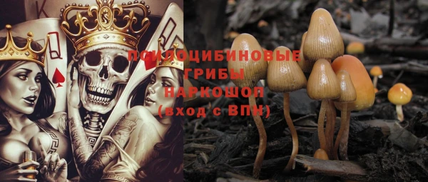 индика Абдулино
