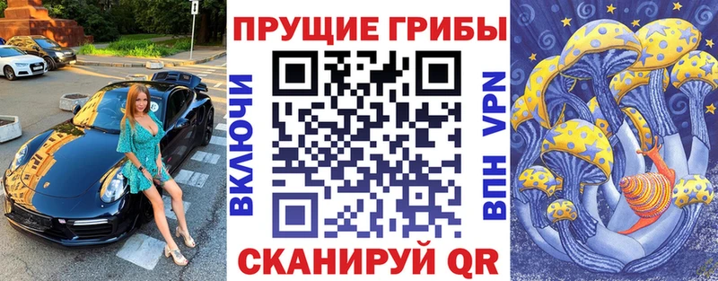 где купить наркоту  Почеп  Псилоцибиновые грибы Cubensis 