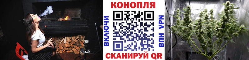 Шишки марихуана планчик  hydra ссылка  Почеп 